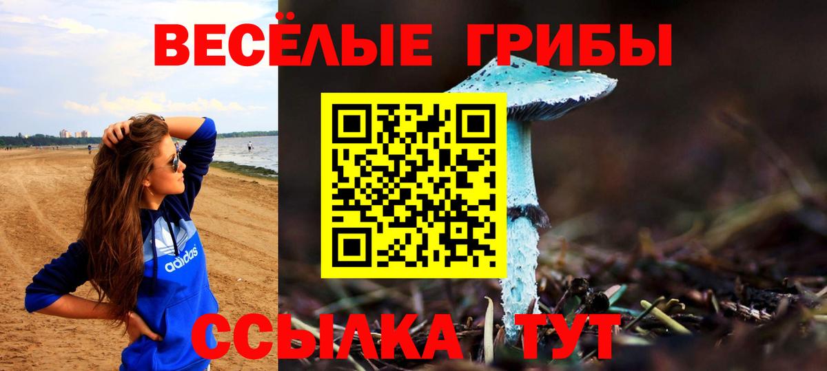 Галлюциногенные грибы прущие грибы Волжск